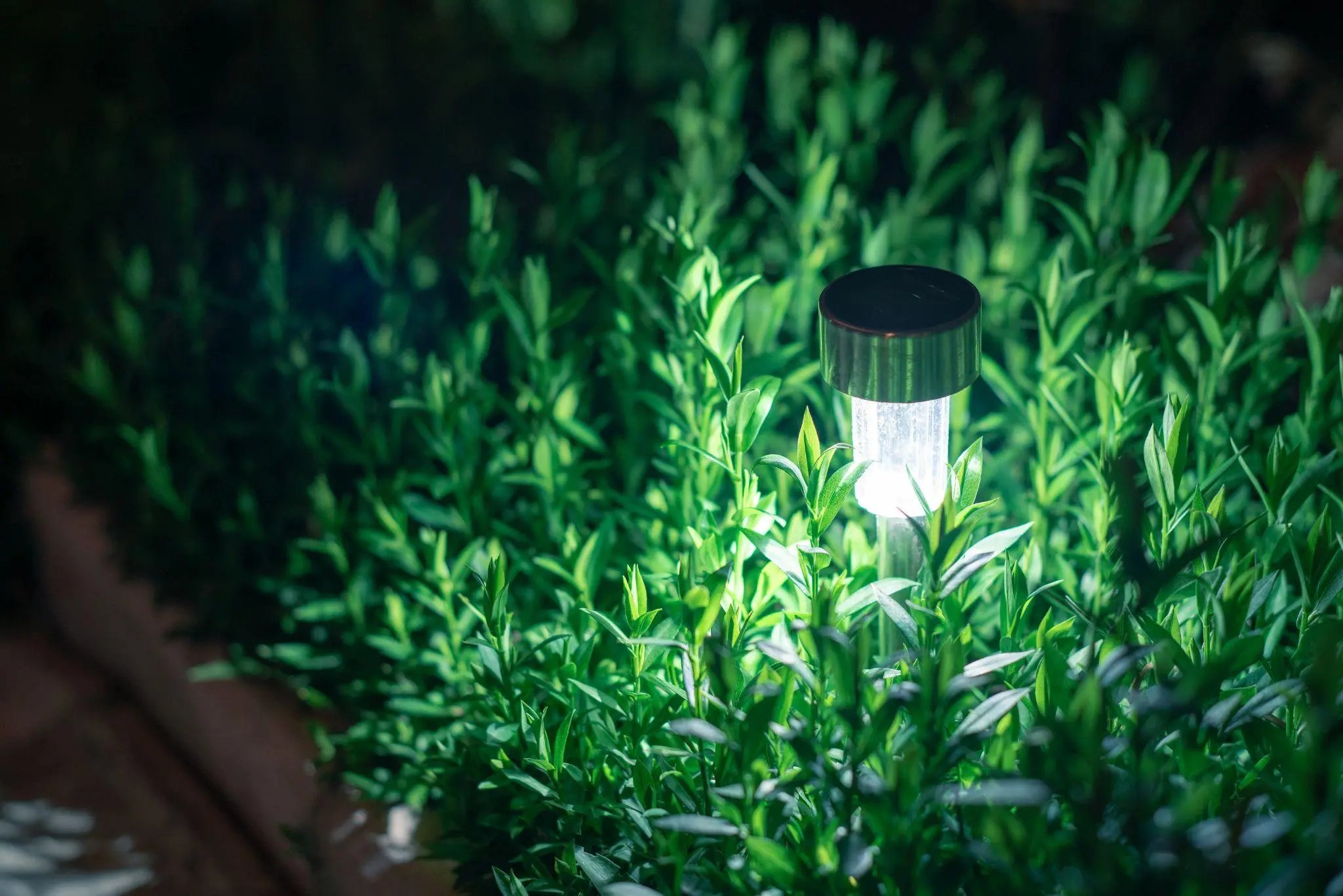 solar lanterns garden light with shrubs at home