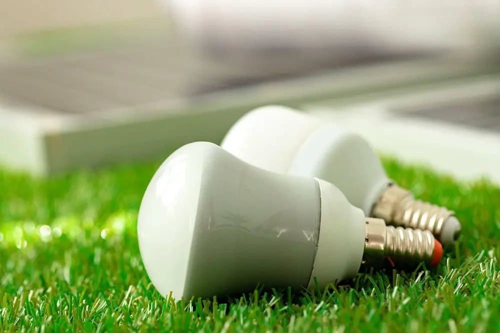 Energy-efficient LED light bulb lying on the grass